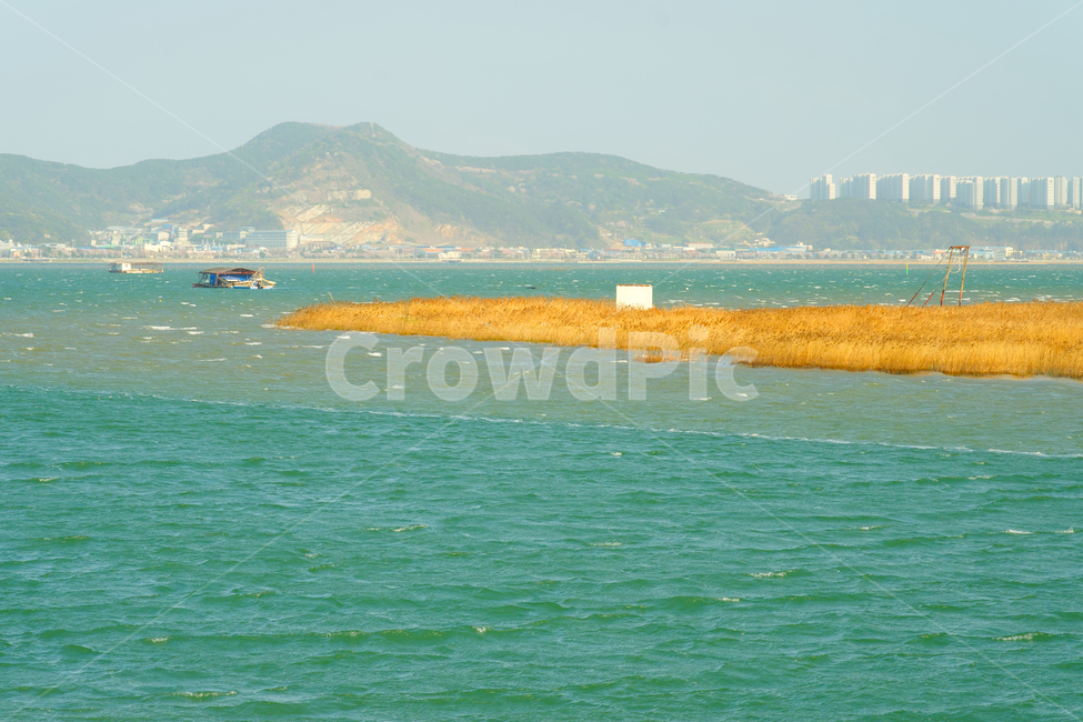 eulsukdoisland,을숙도,바다,nature,outdoors,land,sea,물,옥외,해안선,shoreline