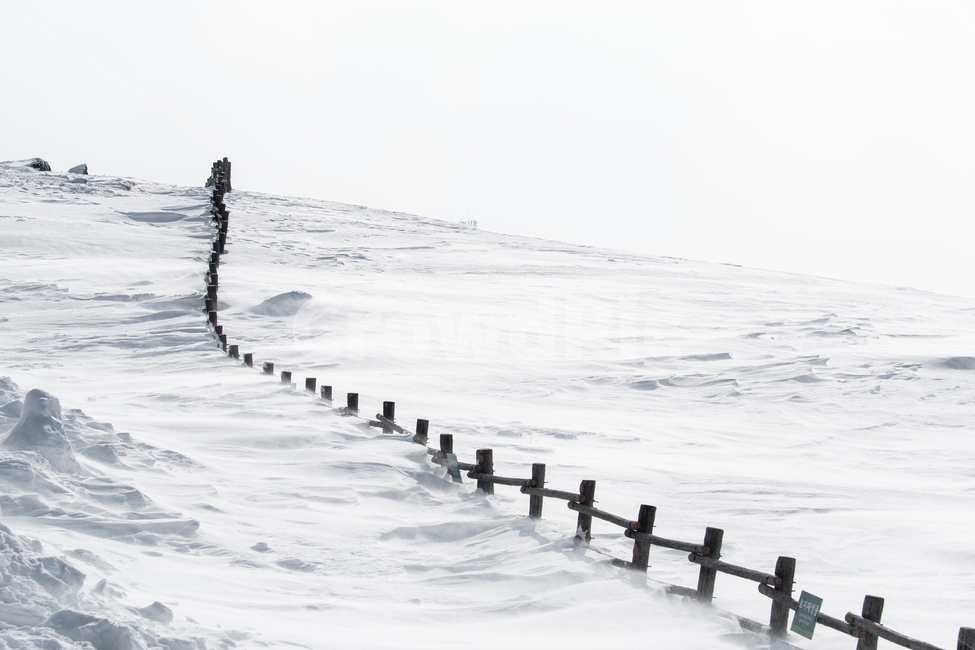 눈,snow,자연,겨울,winter,겨울왕국,겨울,계절,winter,season,자연,풍경,nature,landscape
