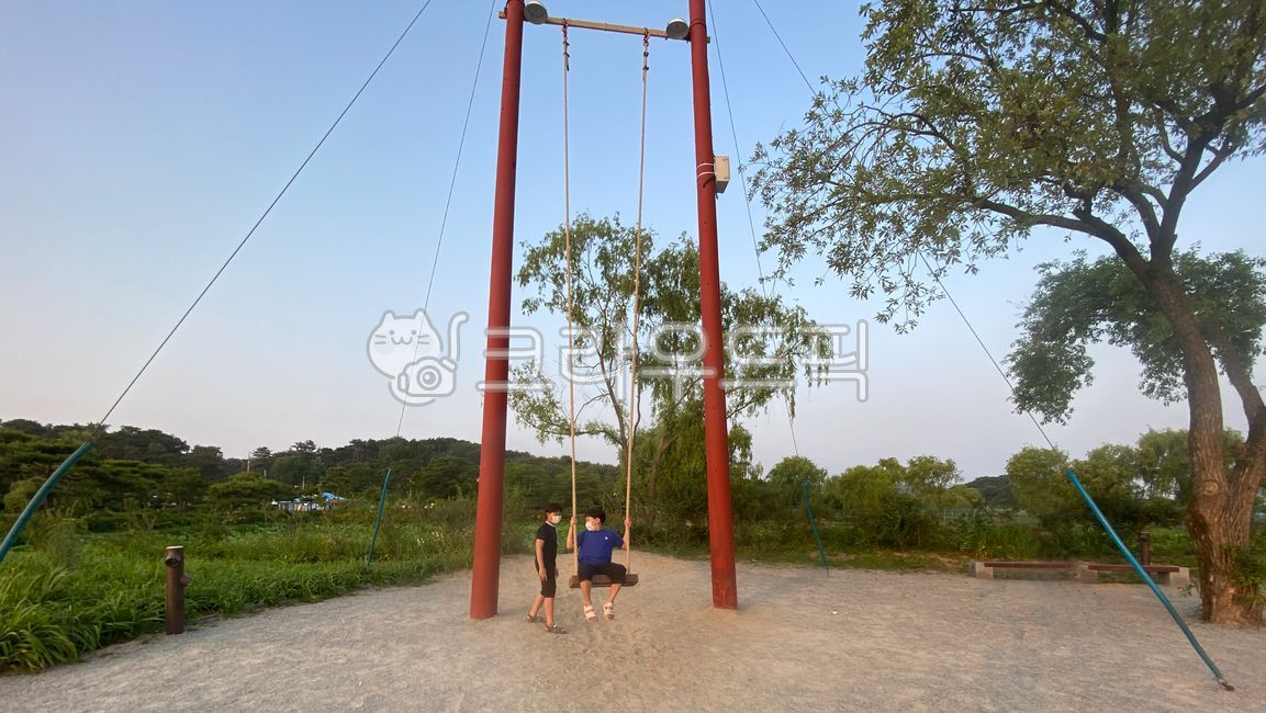 swing,그네,대형그네,큰그네,전통놀이,bigswing,산,나무,mountain,tree