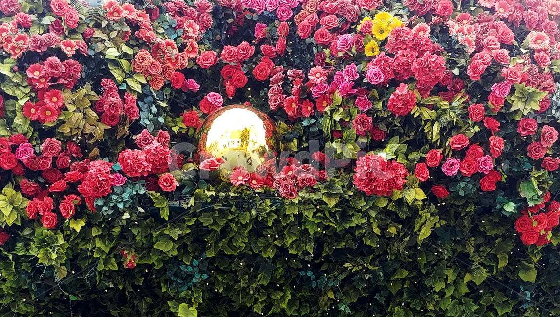 꽃,인테리어,장미,조화,식물,식물,자연,plants,nature,꽃,flower