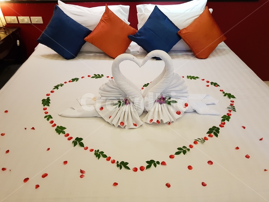 침대,신혼여행,하트,리조트,호텔,커플,연인,커플,사랑,lover,couple,결혼,혼례,웨딩,wedding,marriage,marry,기념일,축하,anniversary,congratulation,celebrate,celebration