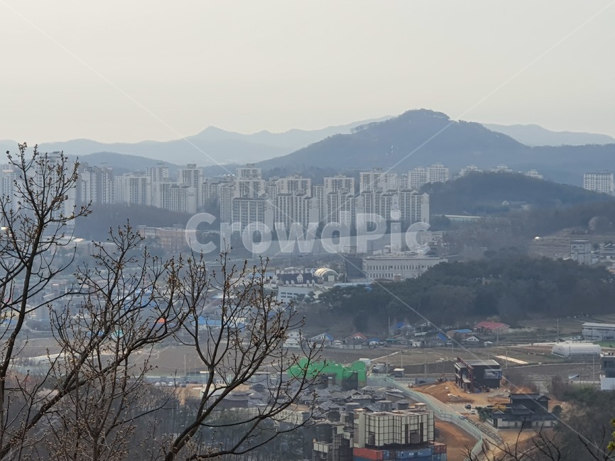 산,등산,벚꽃,나무,위
