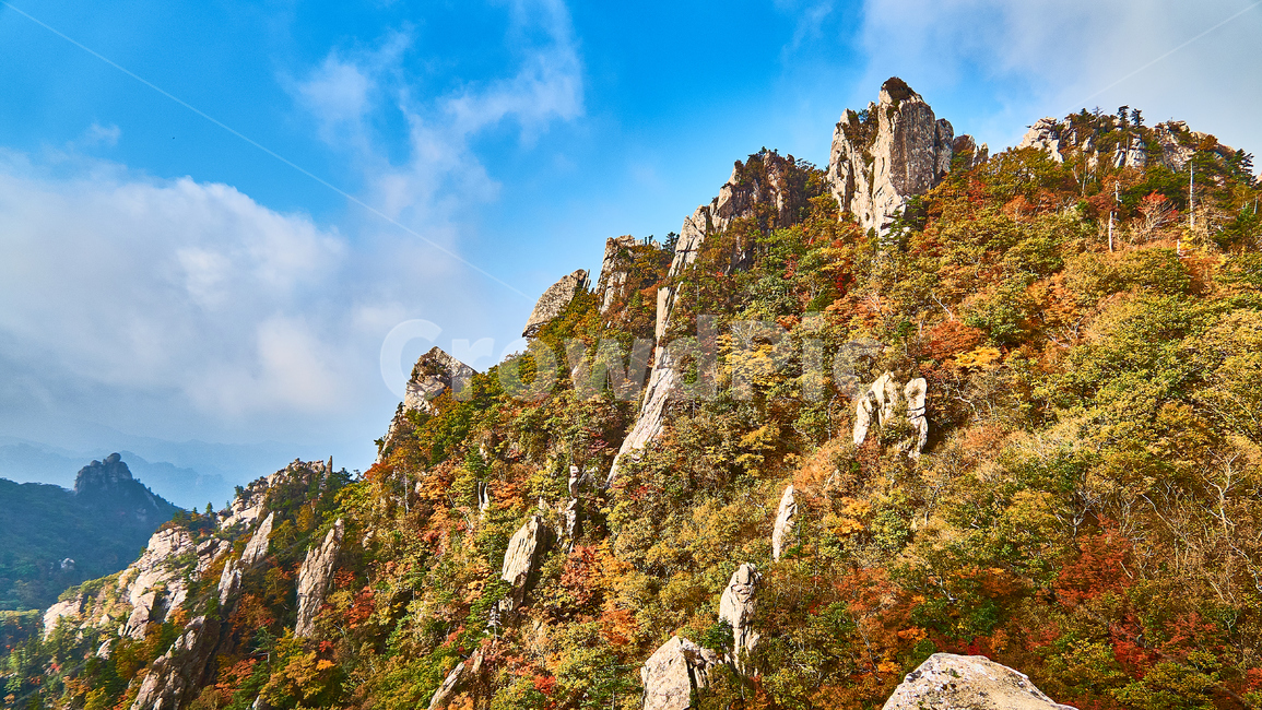설악산,서북능선,국립공원,산,단풍,가을,계절,fall,autumn,season,자연,풍경,nature,landscape,한국자연풍경,한국자연경관,korea nature landscape,cliff,낭떠러지,outdoors,옥외