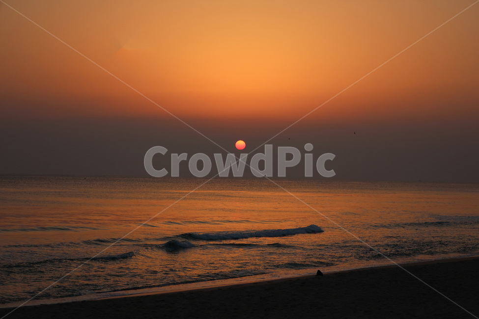 일출,해돋이,바다,파도,태양,일출명소,주황빛하늘,sunrise,자연,풍경,nature,landscape,outdoors,옥외,sunlight,햇빛,sunset,일몰,red sky,붉은 하늘,sky,하늘,dusk,황혼,dawn,새벽