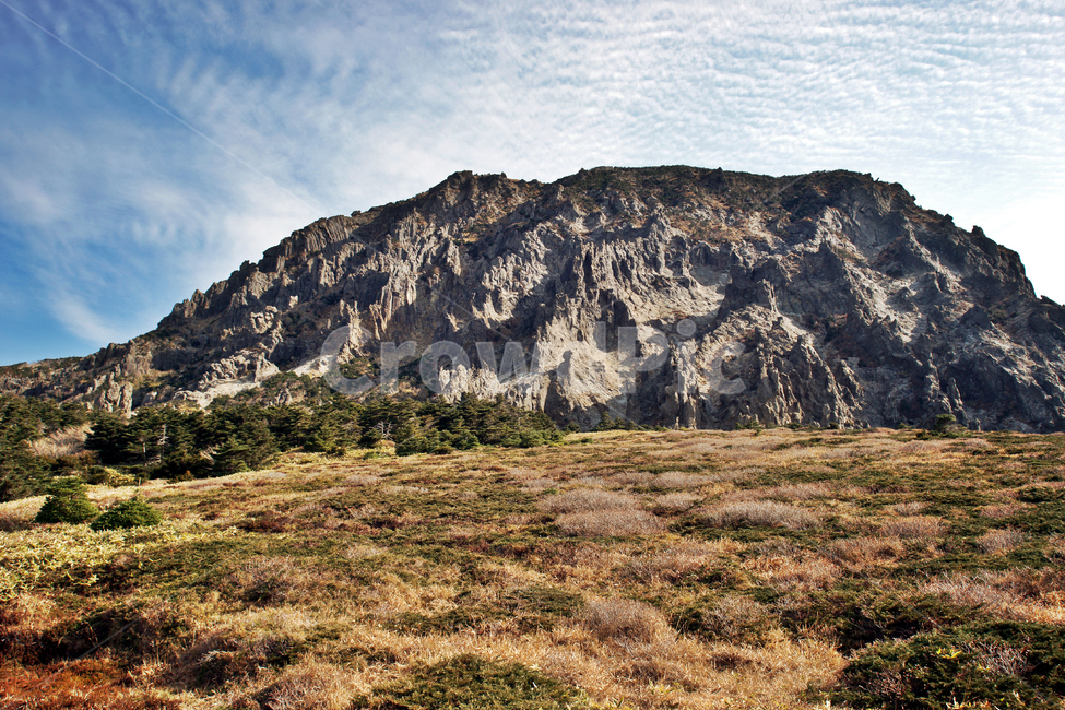 남벽,조릿대,한라산,한라산국립공원,제주도,암벽,돈내코코스,제주도,jeju,jeju island,nature,자연,plateau,고원,outdoors,옥외