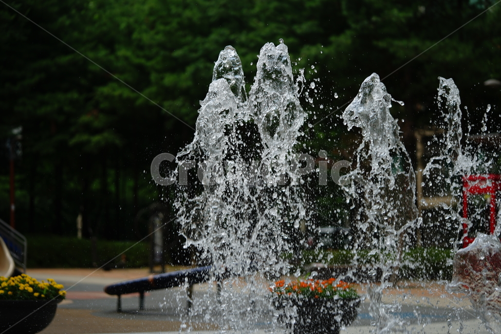 분수,물,물줄기,여름,계절,water,순간,순간포착,더위,summer,여름,계절,summer,season
