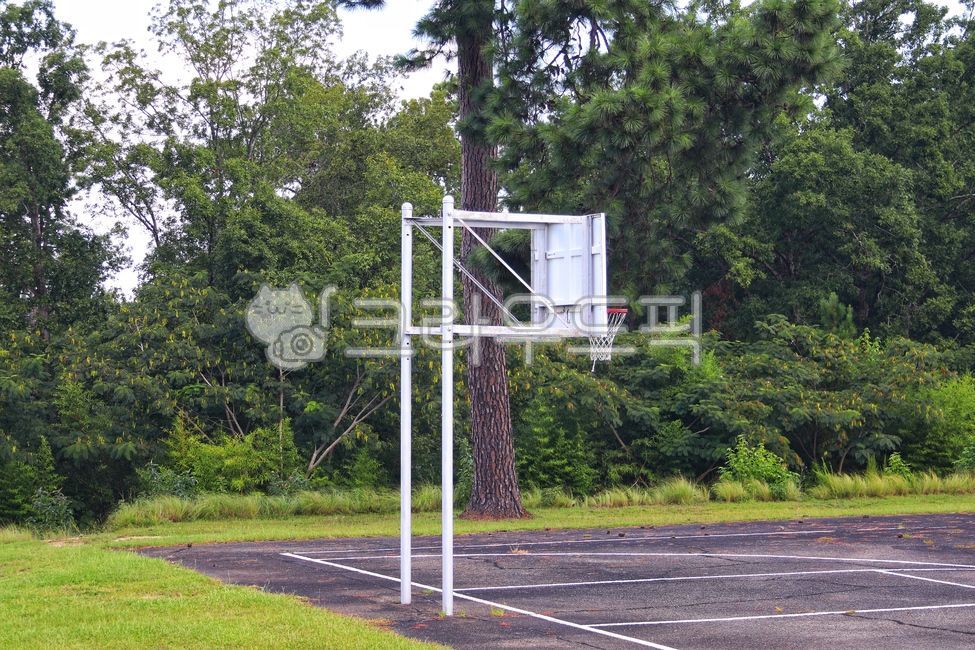 basketballbet,basketballgoal,playground,수풀,농구골대,아스팔트,울타리,fence