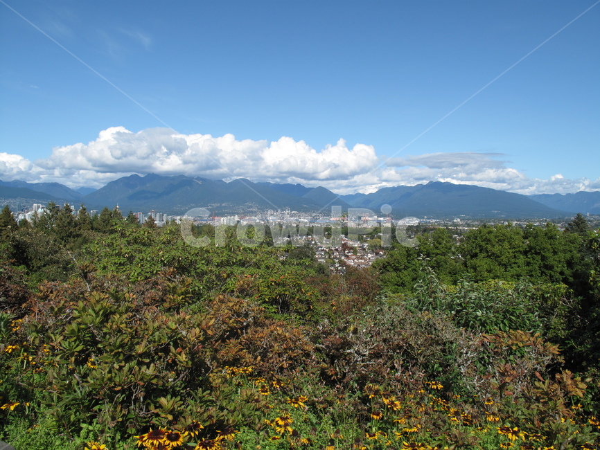 산,하늘,나무,식물,구름,녹색,공원,잔디,하늘색,맑음,tree,green,plant,park,canada,wood,nature,vancouver,캐나다,벤쿠버,퀸엘리자베스공원