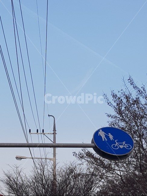 표지판,보호자,자전거,sign,guardian