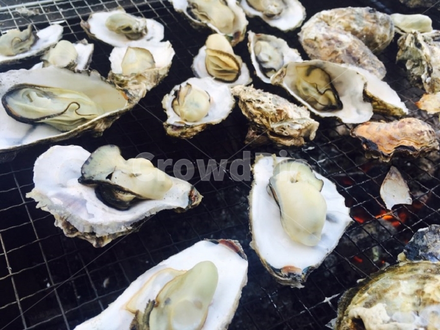 석화,구이,굴,숯불,해산물,음식,식재료,요리,food,cook,meal,dishes,food reserves,수산물,해산물,fishery products,seafood