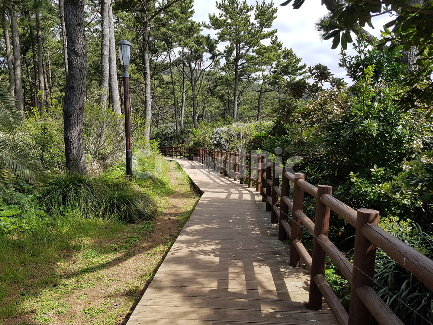 제주도,둘레길,바닷가둘레길,산책로,봄,바닷가산책로,자연,풍경,nature,landscape,outdoors,옥외,garden,정원,arbour,정자