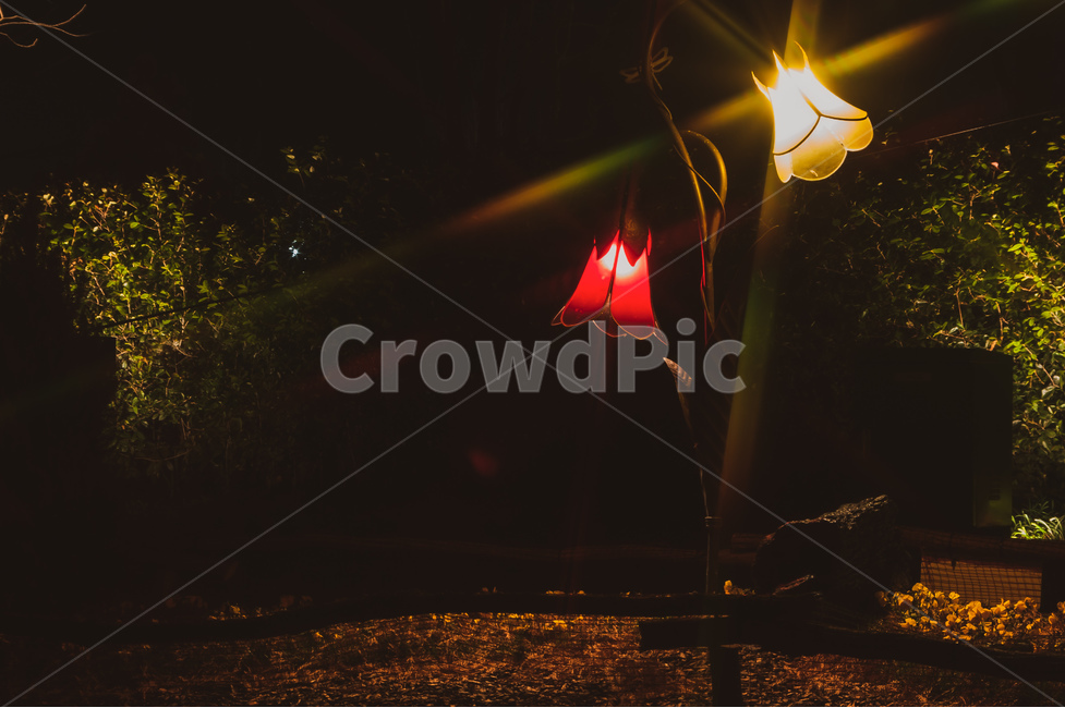 lighting,조명,빛,가로등,어둠