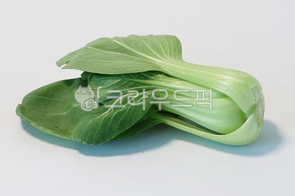 청경채,식재료,야채,채소,pakchoi,bokchoy,food,vegetable,음식,농산물,요리재료
