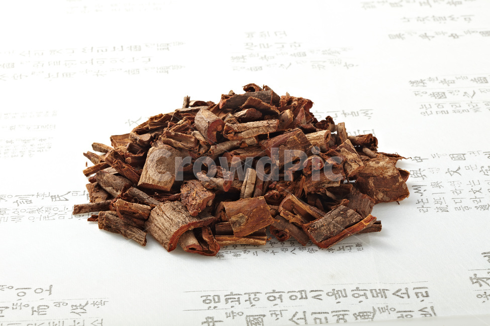 한약,보약,한약재,한의원,한방병원,한방,한의사,한의학,약재,약초,약용식물,허브,herb,천연,동의보감,허준,tonic,koreanmedicine,koreantraditional,감초,orientalmedical,유근피,느릅나무,느릅나무껍질,음식,식재료,요리,food,cook,meal,dishes,food reserves