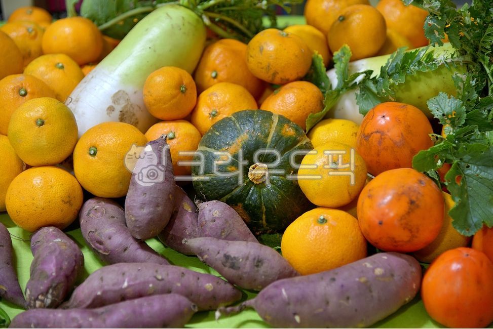호박,고구마,귤,가을,결실,food,plant,식물,과일,fruit,citrusfruit,감귤류과일