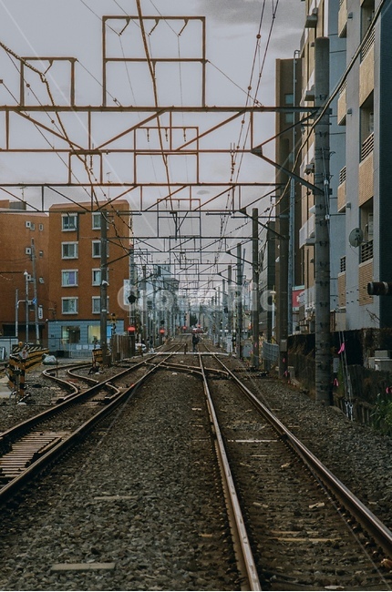 transportation,교통,traintrack,기찻길,rail,레일,railway,철도,철로,subway,metro,iron,갈랫길,트롤리,트롤리문제,교통,교통수단,traffic,transportation