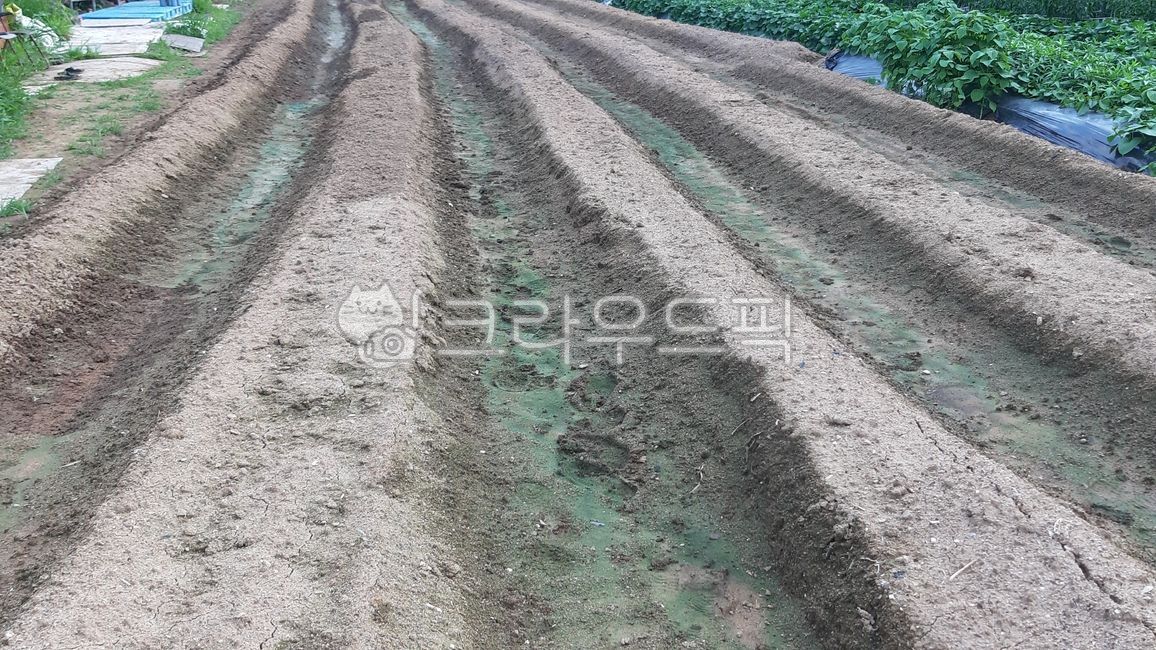 흙, 바닥, soil, 고랑, 이랑, 사진,이미지,일러스트,캘리그라피 - 풀그림자작가