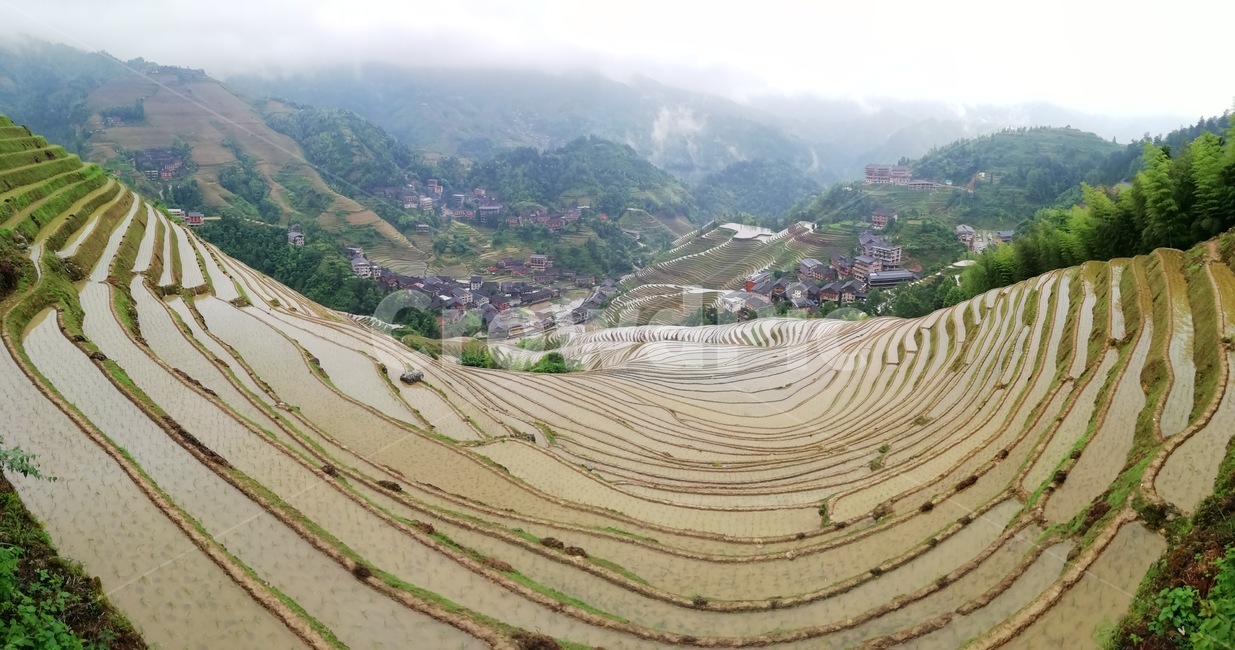 다락논,라이스필드,금갱대채,금불정,계림,용적제전,다랭이논,자연,풍경,nature,landscape,농업,농사,agriculture,farming,farming industry,outdoors,옥외,경치,scenery,aerial view,조감도