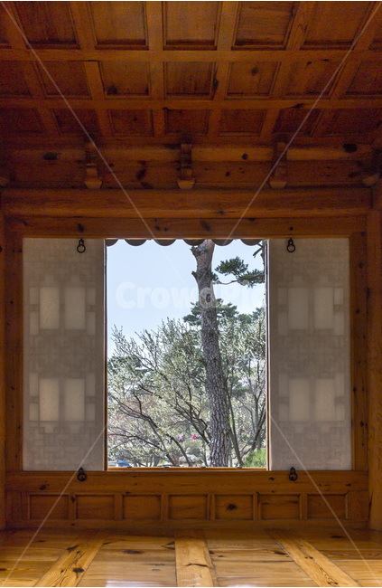 정자,봄,누각,풍경,휴식,창호,소나무,감성,한국전통,한국문화,korean traditional,korean culture,식물,자연,plants,nature,나무,trees,wood,인테리어,실내디자인,interior design
