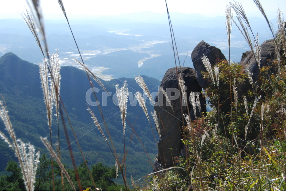 화왕산,등산로,가을,휴양지,한국명산,자연,풍경,nature,landscape,한국자연풍경,한국자연경관,korea nature landscape