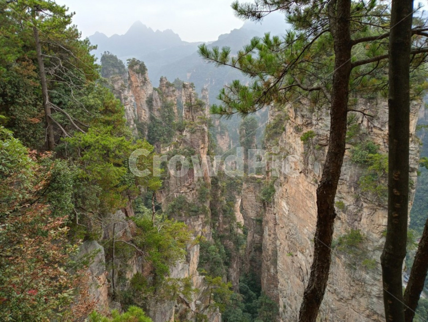 자연,풍경,중국트래킹,장가계,아바타,자연,풍경,nature,landscape