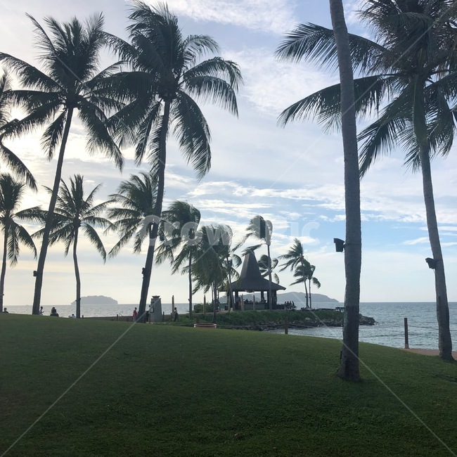 잔디,야자수,하늘,오두막,여름,cabin,palmtree,sky,여름,계절,summer,season,grass,plant,식물