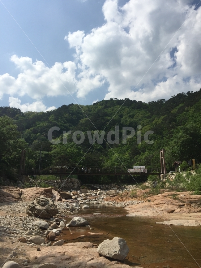 숲속,개울,계곡,강,하천,숲,구름,하늘,여행,시골,자연,풍경,nature,landscape,한국자연풍경,한국자연경관,korea nature landscape,water,물,outdoors,옥외