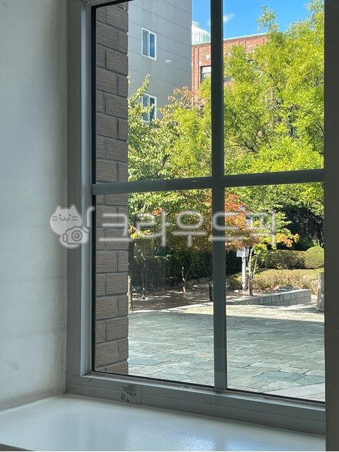 window, 창문, 창턱, 단풍, 가을, 사진,이미지,일러스트,캘리그라피 - 윌트작가