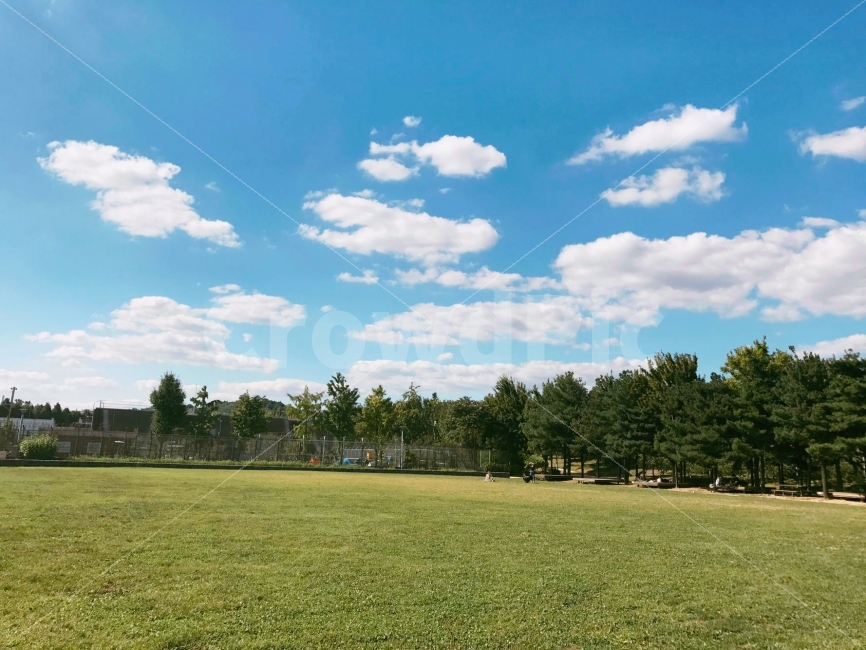 하늘,자유,공원,숲,피크닉,소풍,구름,나무,파랑,Sky,Free,Picnic,Cloud,Tree,자연,풍경,nature,landscape,plant,식물,grass,잔디,outdoors,옥외