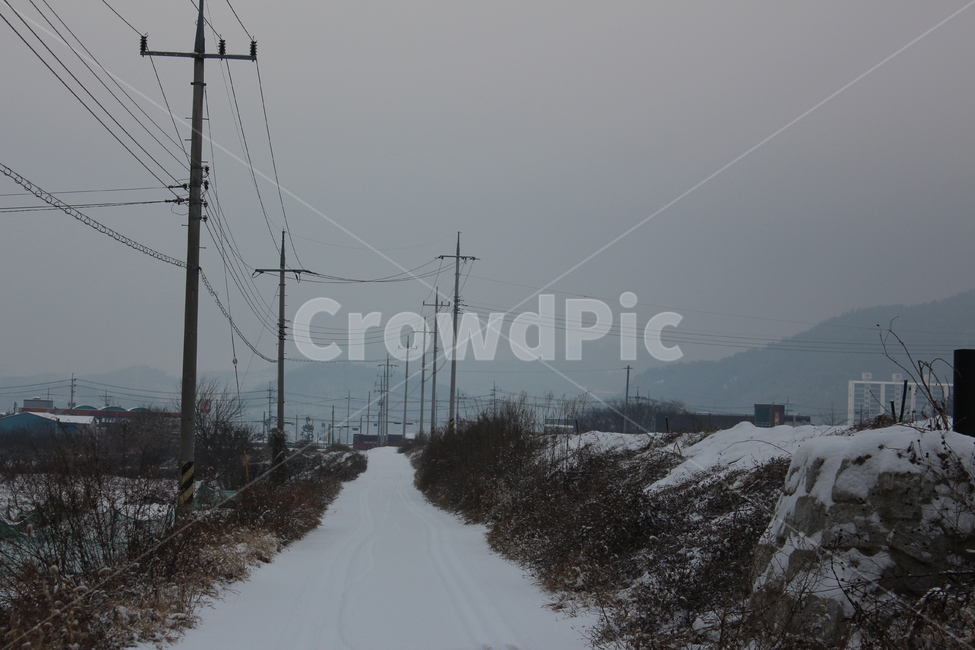 겨울,겨울풍경,눈,분위기,snow,겨울아침,시골풍경,한겨울,snowing,풍경,자연,landscape,계절,색감