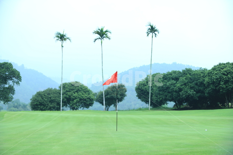 깃발,골프코스,골프장,그린,골프,golf,golfcourse,green