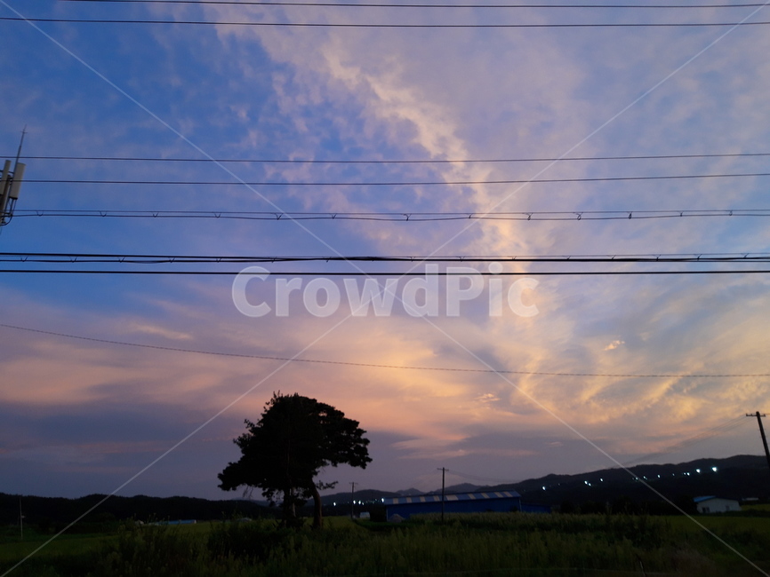 cable,케이블,powerlines,전력선,하늘풍경,자연,풍경,nature,landscape,power lines