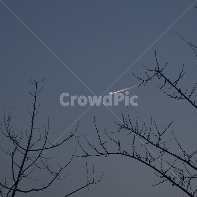 하늘,비행기,나무,풍경,sky,야경,밤,풍경,nightscape,night,landscape,nature,자연,outdoors,옥외