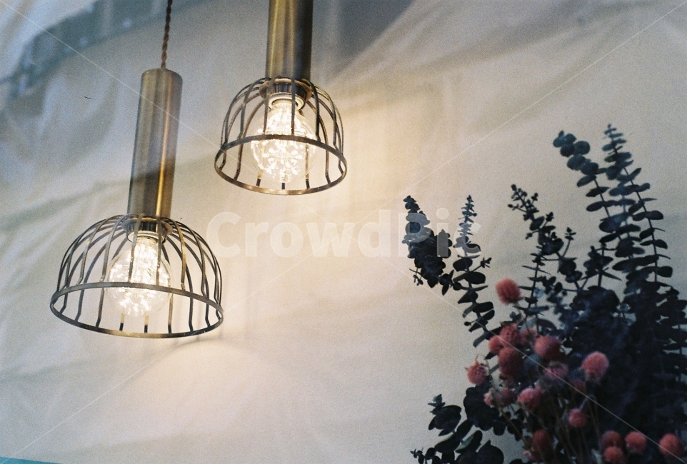 조명,꽃,인테리어,빛,필름사진,NikonEM,식물,자연,plants,nature,꽃,flower,실내용화초,화분,화초,house plant,감성,sensible,feeling,인테리어,실내디자인,interior design