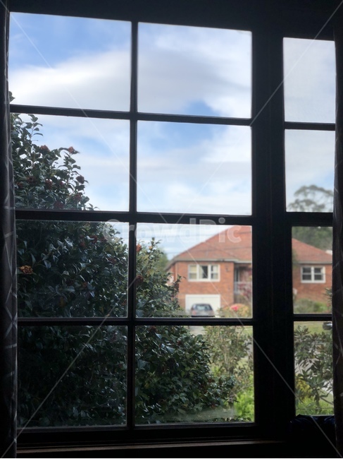 창문,window,풍경,주택,정원