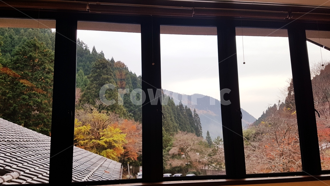 풍경,먼산,나무,시골,창틀,가을,계절,fall,autumn,season