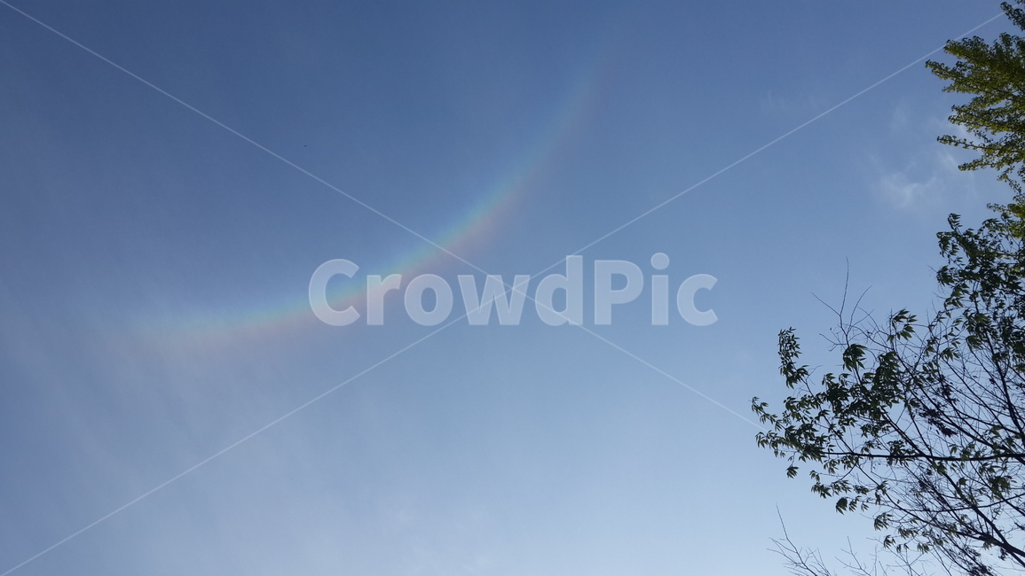 무지개,자연,맑음,하늘,나무,자연,풍경,nature,landscape,outdoors,옥외,sky