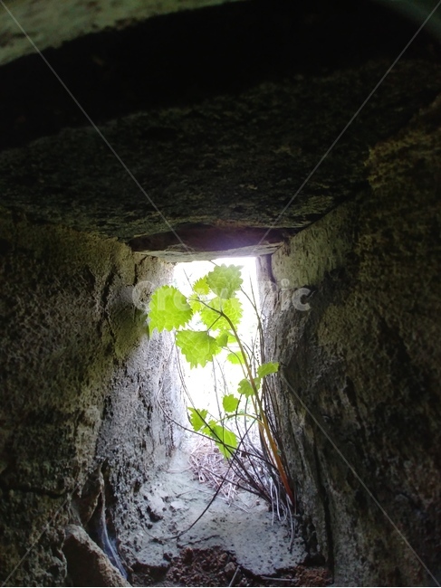 남한산성,성벽,풀,희망,빛,bunker,건물,building