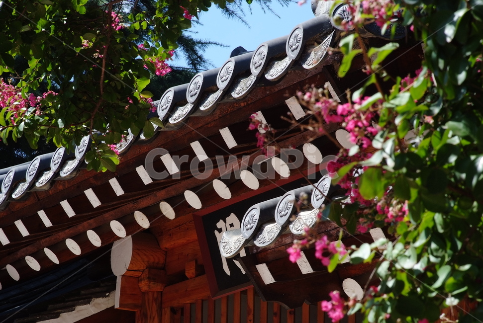 풍경,꽃,여름,한옥,서원,하늘,한국전통,한국문화,korean traditional,korean culture,건축물,건물외관,exterior,building,structure,architecture,construction