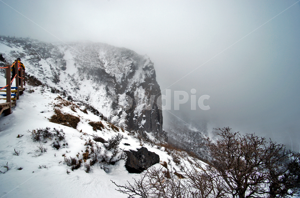 겨울산,한라산,설경,설산,한라산설경,겨울,탐방로,안개,운무,겨울,계절,winter,season,자연,풍경,nature,landscape,한국자연풍경,한국자연경관,korea nature landscape