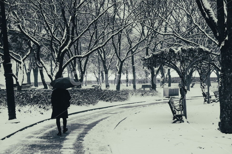 올림픽공원,설경,눈,겨울,풍경,겨울,계절,winter,season,사람,인물,인간,human,person,고독함,외로움,쓸쓸함,우울함,슬픔,lonely,solitary,흑백,모노톤,monochrome,black and white