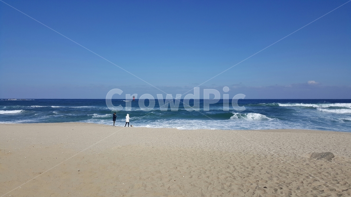 바다,자연,물,바닷가,커플,sea,ocean,outdoors,shoreline,beach,해변,바다,beach,sea