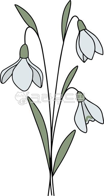 1월,설강화,탄생화,꽃,꽃그림,꽃일러스트,그림,타투도안,문신,드로잉,타투디자인,타투,생일,플로랄디자인,꽃디자인,벡터,식물,라인,라인드로잉,라인아트,라인일러스트,선일러스트,선그림,식물그림,flower,plant,snowdrop