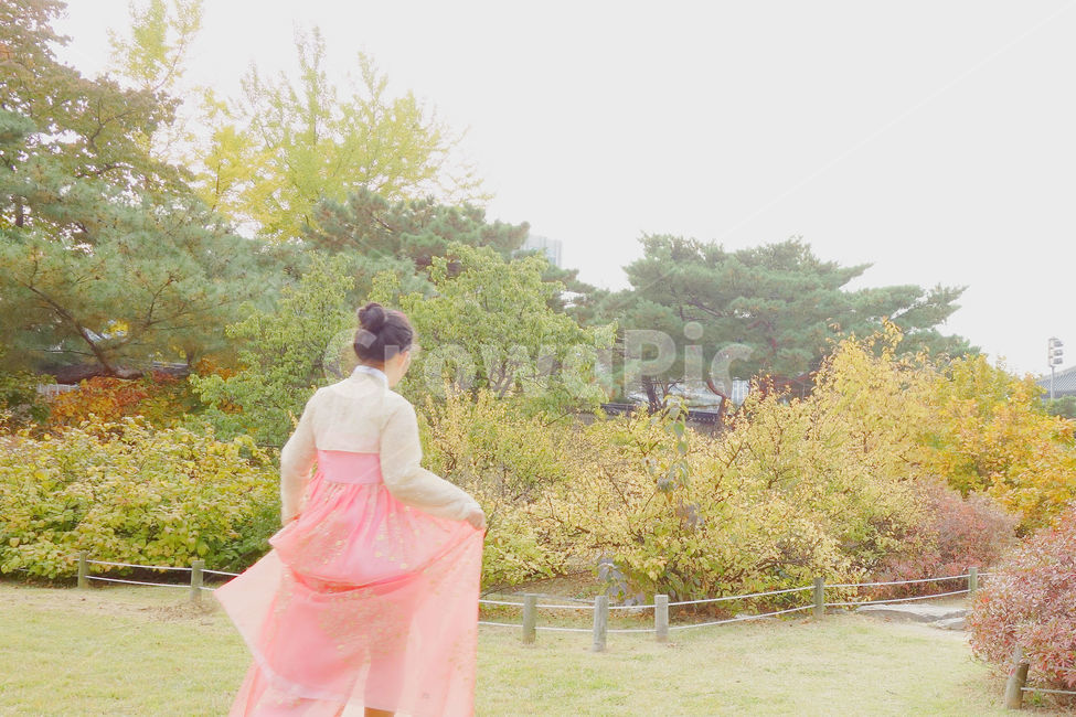 한복,사람,경복궁,전통의상,감성사진,여자,분홍,분홍색,소녀,색감,궁,girl,woman,가을,계절,fall,autumn,season,자연,풍경,nature,landscape,한국전통,한국문화,korean traditional,korean culture,사람,인물,인간,human,person,여성,여자,woman,female,lady,감성,sensible,feeling,evening dress,이브닝 드레스,fashion,패션,robe,옷,gown,겉옷