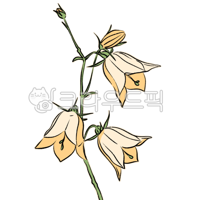flower drawing,nature,flower painting,sauce,line drawing,flower,flower illustration,plant illustration,plant,design source