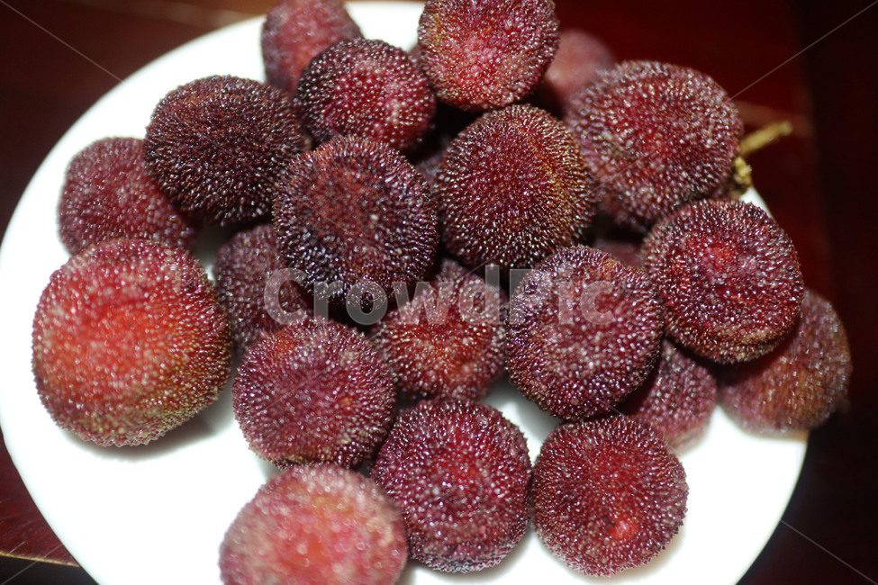 양메이,과일,베트남과일,동남아,중국과일,열대과일,소귀나무의열매,베리,berry,yangmei,tropical,exotic,fruit,vientamfruit,chinesefruit,이색적인,독특한