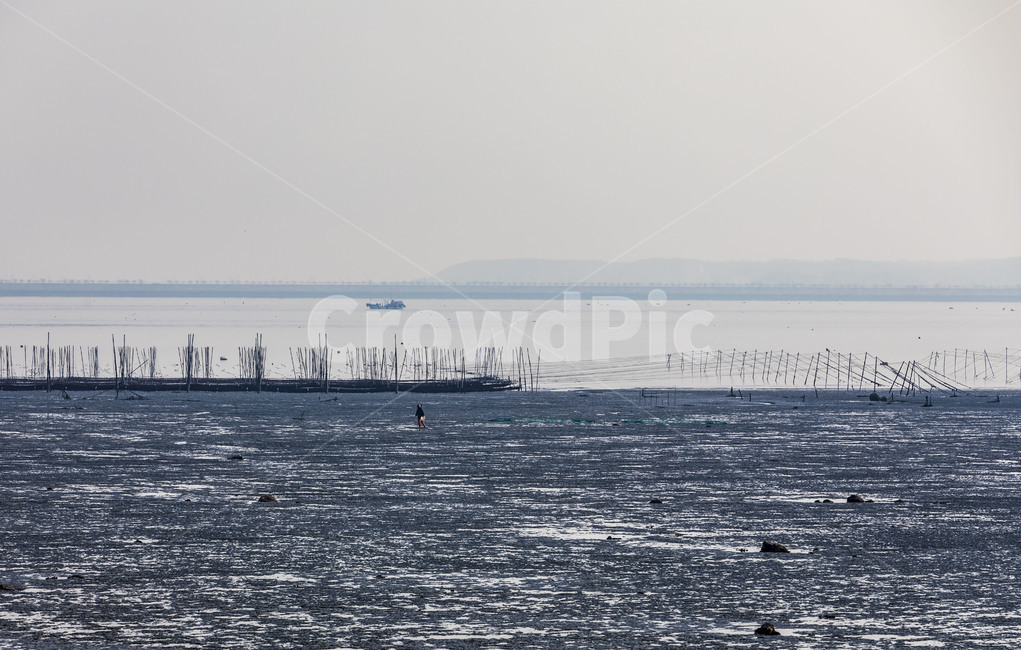 장봉도,갯벌,바닷가,해안가,수평선,양식,자연,풍경,nature,landscape,한국자연풍경,한국자연경관,korea nature landscape,outdoors,옥외,land,땅,ocean,대양,water,물,sea,바다