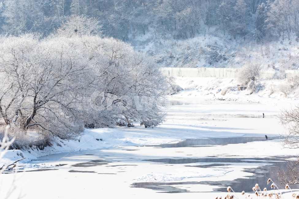 상고대,아침,겨울,눈,폭설,시냇가,자연,풍경,왜가리,눈꽃,겨울,계절,winter,season,자연,풍경,nature,landscape,outdoors,옥외,snow