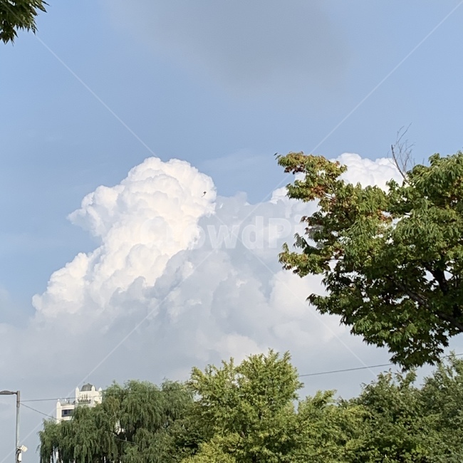 nature,자연,weather,날씨,하늘,sky,cloud,구름
