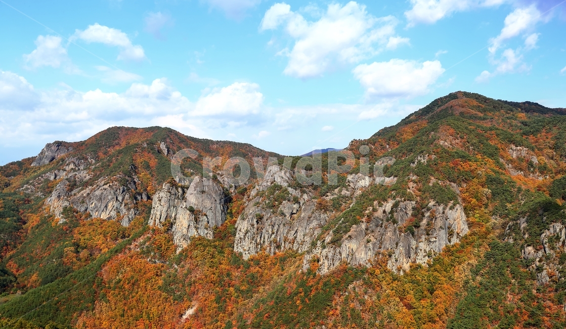 단풍,하늘,가을,산,암봉,주왕산,가을,계절,fall,autumn,season,자연,풍경,nature,landscape,한국자연풍경,한국자연경관,korea nature landscape,outdoors,옥외,mountain